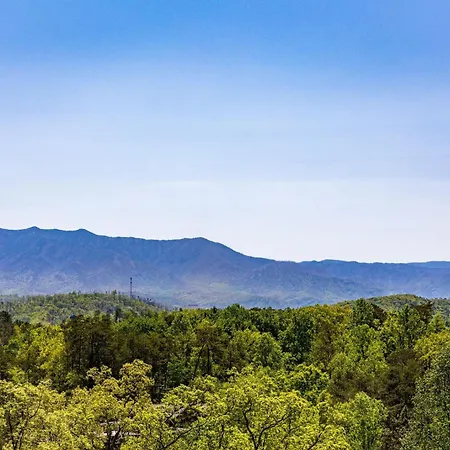 All About The View-Free Dollywood Ticket, 5 Bedroom 4 Bath Family Retreat W Mountain Views, Privacy